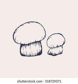 Vector Illustration of Hand Drawn Mushrooms