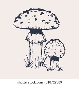 Vector Illustration of Hand Drawn Mushrooms