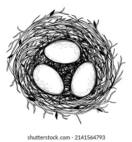 Vector illustration of hand drawn nest with eggs. 