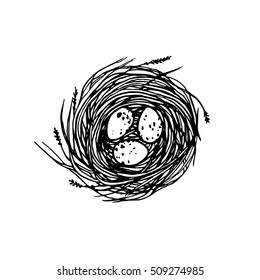 Vector illustration of hand drawn nest with spotted eggs. Graphic style, beautiful illustration