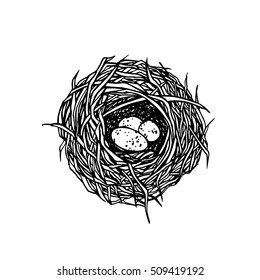 Vector illustration of hand drawn nest with spotted eggs. Graphic style, beautiful illustration