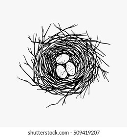 Vector illustration of hand drawn nest with spotted eggs. Graphic style, beautiful illustration