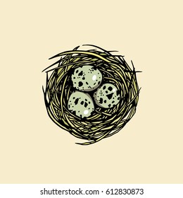 Vector illustration of hand drawn nest with spotted eggs. Beautiful design elements, perfect for Easter decoration