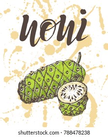 Vector illustration, hand drawn noni with inscription on watercolor sprays