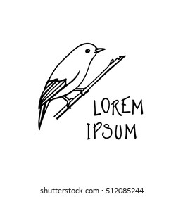 Vector illustration of hand drawn North America bird sitting on a branch. Ink drawing, graphic style. 