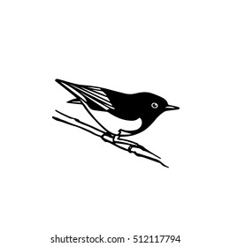 Vector illustration of hand drawn North America bird sitting on a branch. Ink drawing, graphic style. 