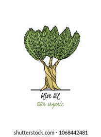 Vector illustration of hand drawn olive tree. Beautiful floral design elements,  ink drawing, abstract style.