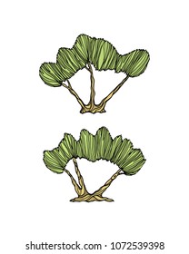 Vector illustration of hand drawn olive trees. Beautiful floral design elements,  ink drawing, abstract style.