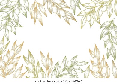 Ilustración vectorial con ramas de olivo dibujadas a mano, hojas y bayas marco aislado sobre fondo blanco. Diseño botánico para el Anuncio, impresión, tarjeta, etiqueta, belleza y productos cosméticos