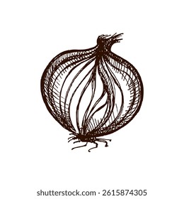 Vector illustration of a hand drawn onion bulb with visible peeled layers. Vintage engraved style, perfect for food design, farm market, recipes and botanical projects. Isolated on white background.