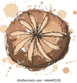 Vector illustration, hand drawn outlines of round bread with abstract brown fill and sprays