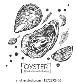 Vector illustration with hand drawn oysters on the white background