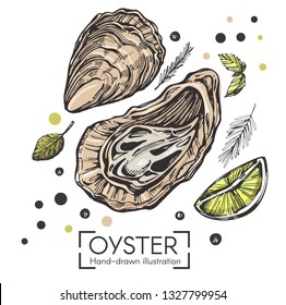 Vector illustration with hand drawn oysters