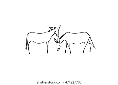 Vector illustration of hand drawn pair of donkeys eating grass on a meadow. Cute animal characters. 