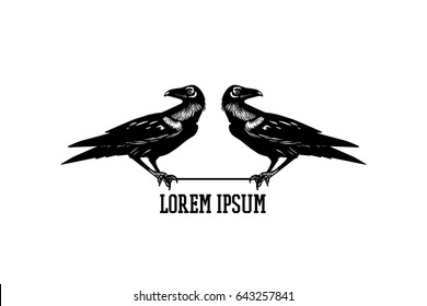 Vector illustration of hand drawn pair of ravens looking in the opposite directions. Ink drawing, graphic style. Beautiful logo template