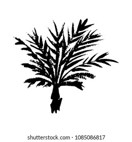 Vector illustration of a hand drawn palm tree isolated on white.