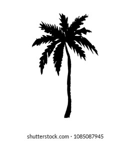 Vector Illustration Of A Hand Drawn Palm Tree Isolated On White.