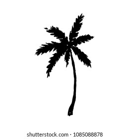 Vector illustration of a hand drawn palm tree isolated on white.