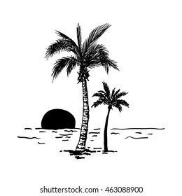 Vector illustration of a hand drawn palm trees. Design element for t-shirt prints. Tropical nature element.