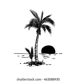 Vector illustration of a hand drawn palm trees. Design element for t-shirt prints. Tropical nature element.