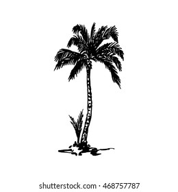 Vector illustration of a hand drawn palm trees. Design element for t-shirt prints. Tropical nature element.