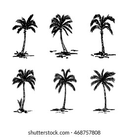 Vector illustration of a hand drawn palm trees. Design element for t-shirt prints. Tropical nature element.