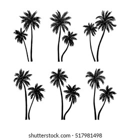 Vector illustration of a hand drawn palm trees. Design element for t-shirt prints. Tropical nature element.