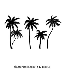 Vector illustration. Hand drawn palm trees.