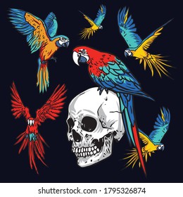 Vector illustration of a hand drawn parrots with skull