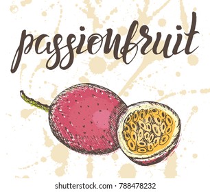 Vector illustration, hand drawn passionfruit with inscription on watercolor sprays