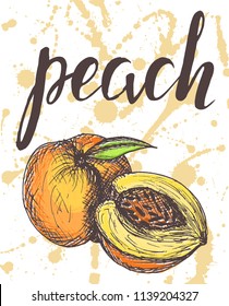 Vector illustration, hand drawn peach with inscription on watercolor sprays