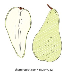 Vector illustration of hand drawn pear fruit in marker scribble style