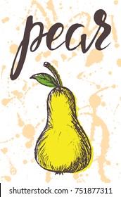 Vector illustration, hand drawn pear with inscription on watercolor sprays