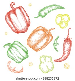 Vector illustration hand drawn peppers, slices and seeds, isolated on white background. Sketchy ink, artsy drawing for design, menu, recipe, apparel.