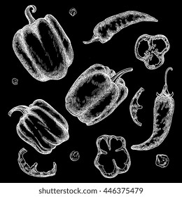 Vector illustration hand drawn peppers, slices and seeds, isolated on white background. Sketchy ink, artsy drawing for design, menu, recipe, apparel.