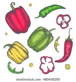 Vector illustration hand drawn peppers, slices and seeds, isolated on white background. Sketchy ink, artsy drawing for design, menu, recipe, apparel.