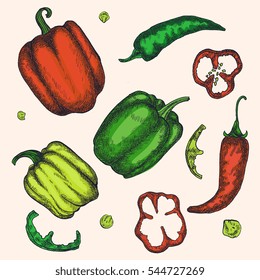 Vector illustration hand drawn peppers, slices and seeds, isolated on white background. Sketchy ink, artsy drawing for design, menu, recipe, apparel.