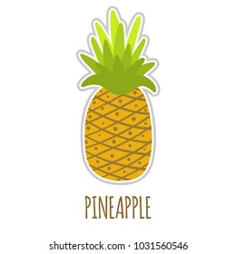 Vector illustration of hand drawn pineapple with shadow for print, postrer, sticker; card