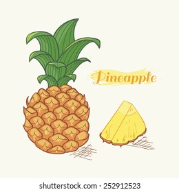Vector illustration of hand drawn pineapple