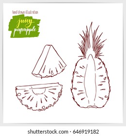 Vector illustration of hand drawn pineapple.