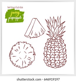 Vector illustration of hand drawn pineapple.
