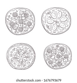Vector illustration with hand drawn pizza. Set of four different types of pizza. 