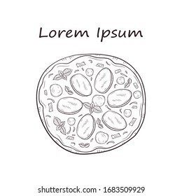 Vector illustration with hand drawn pizza. 