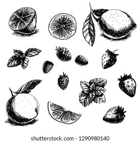 Vector illustration hand drawn  plant mint lemons and berries ink pen health care goods packaging vegetable products 