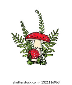 Vector illustration of hand drawn poisonous fungus Amanita with fern leaves. Ink drawing, graphic style. Beautiful design elements.