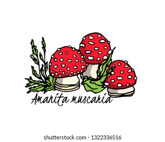 Vector illustration of hand drawn poisonous fungus Amanita with forest plants. Ink drawing, graphic style. Beautiful design elements.