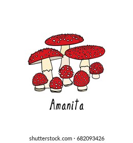 Vector illustration of hand drawn poisonous fungus Amanita. Ink drawing, graphic style. Beautiful design elements.