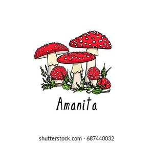 Vector illustration of hand drawn poisonous fungus Amanita. Ink drawing, graphic style. Beautiful design elements.