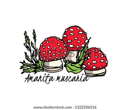 Vector illustration of hand drawn poisonous fungus Amanita with forest plants. Ink drawing, graphic style. Beautiful design elements.