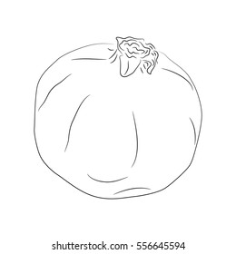 Vector illustration of hand drawn pomegranate